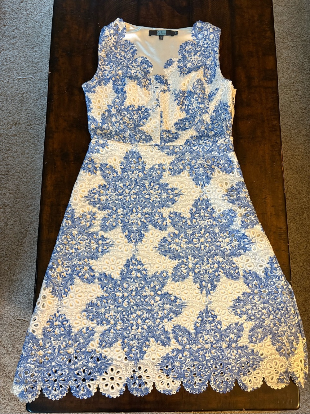 Eva Franco Blue and White Lace Eyelet Floral A-Line Dress in Size 10